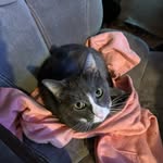 Kyle heller - @kyleheller8 - Instagram