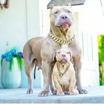 kylehenry - @kylehenry745 - Instagram