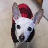 Kyle Herbert - @kyle.herbert - TikTok