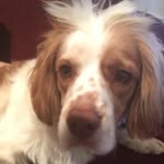 Kyle Herron - @revkyle1 - Instagram