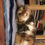 @kyle.hight2 - Instagram