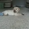 Kylee - @kylee_hoffmann - TikTok