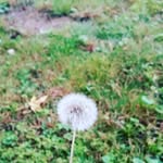 kyle howey - @howey1003 - Instagram