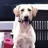 Kyle Huggins - @kyle.huggins20 - TikTok