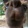 kyle - @kylehuntercuntr - TikTok