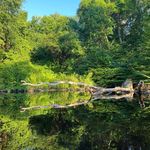 Kyle Huston - @kylehuston - Instagram