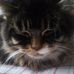 Kyle Ickes - Facebook