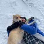Kyle Irvine - @kykid1 - Instagram