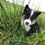 kyle irvine - @irvine8551 - Instagram
