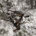 Kyle Isaac - Facebook