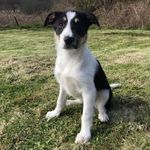 Kyle Jamieson - @kyle.jamieson.7902 - Instagram