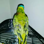 kyle.jeffery - @kyle_jeffery1 - Instagram