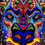 Kyle Jorgenson - @huskytime_ - Instagram