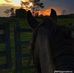 Joel Calo - Facebook