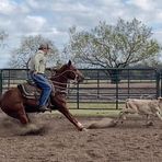 Jumper Ranch Quarter Horses - Facebook