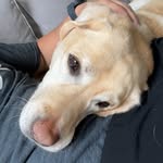 Kyle keefer - @kyle_keefer_daines - Instagram