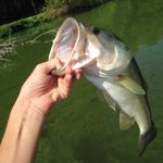 KYLE KELLUM🎣 - @fishing_the_southland - Instagram