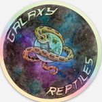 Kyle Kessler - @galaxy_reptiles - Instagram