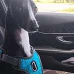Kyle Killen - @kyle.lamberton - Instagram