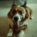 Kyle Kimura - Facebook