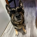 Kyle Kindred - @24kd_ - Instagram