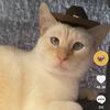 Kyle Kitchens - @kylekitchens1 - TikTok