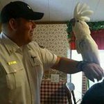 Kyle Knott - @kyledknott - Instagram
