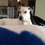 Kyle Joseph - @kyle.kober31411 - Instagram