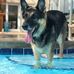 Kyle Kohn - Facebook