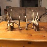 Kyle Koski - @kyle.koski.568 - Instagram