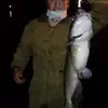 Kyle Kramer - @kylekramer79 - TikTok