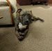 Kyle Kramer - Facebook