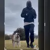 kylekress22 - @walter_the_snack_king - TikTok