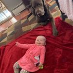 Kyle Krull - @krull_kyle - Instagram