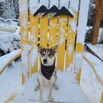 Kyle Kubin - @kylekubin - Instagram