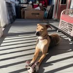 Kyle Kunkle - @kunklekyle - Instagram