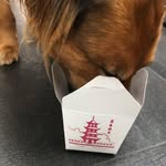 Kyle Warren Smith - @kyle_kyle_kyle_kyle_kyle_kyle_ - Instagram