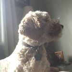 Kyle Labelle - @kylelabelle04 - Instagram