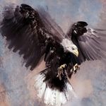 Kyle Labelle - @cheifn1234 - Instagram
