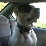 Kyle Lackey - @kylelackey42 - Instagram