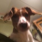 Kyle Lacombe - @kyle.lacombe - Instagram