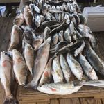 Kyle Lacombe - @kyle_lacombe - Instagram