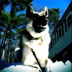 Kyle Laffin - @klaffin6 - Instagram