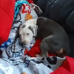 Kyle Lakin - @kylenias - Instagram