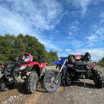 Kyle Lambert - @kylelambert391 - Instagram