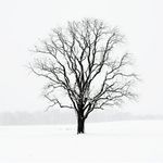 Kyle - @kylelamyphoto - Instagram