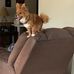 Kyle LaMay - Facebook