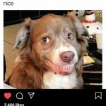Kyle Landers - @klanders76 - Instagram