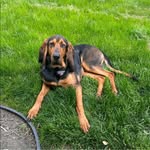 Kyle Landsaw - @kyle_landsaw - Instagram