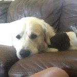 Kyle_laney - @laney_kyle - Instagram